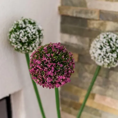 - Lovely With Private Pool *